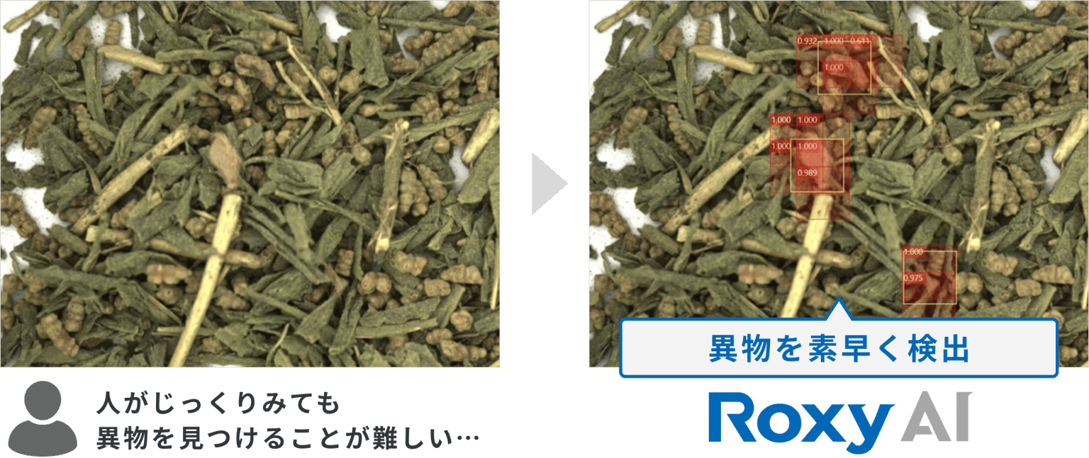 Roxy AI Img02 (1)